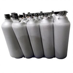 Cilindro de <span class=keywords><strong>Buceo</strong></span> de 12L con Válvula, Regulador de <span class=keywords><strong>Buceo</strong></span> y Conjunto BCD, Modelo LW-184-<span class=keywords><strong>12</strong></span>-20-H, Venta al Por Mayor del Fabricante, de Liaoning - Product Image 1