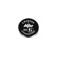 Piles bouton au lithium CR2025 3V pour montres, télécommandes, électronique grand public, jouets, 180 mAh, certifiées CE/RoHS, lot de 5