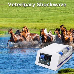 Máquina de Terapia de Ondas de Choque Electromagnéticas Neumáticas para Alivio del Dolor en Caballos, con Sistema de Enfriamiento por Aire, para Uso Comercial - Product Image 6