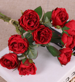 บิ๊กเรด