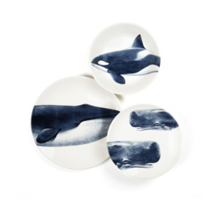 Service de table Excelsa 3 pièces en céramique bleu Faune & Flore - Product Image 1