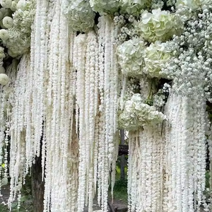 Lovebay, plantas reales naturales, flor de amaranto colgante, amaranto largo blanqueado, <span class=keywords><strong>Amaranthus</strong></span> <span class=keywords><strong>Caudatus</strong></span> preservado para decoración de bodas - Product Image 3