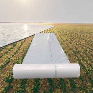Fabricante PE Película para cubrir plantas Película agrícola para casas verdes Rollo de película plástica - Product Image 5