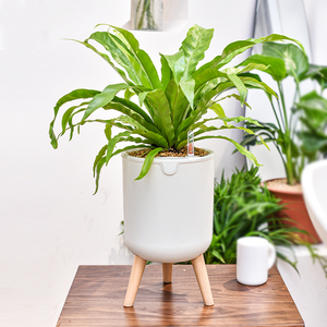 Deepbang fournitures de jardin usine extérieur moderne Style Simple Pots de plantes de jardin en plastique jardinières arrosage automatique Pot de fleurs paresseux - Product Image 6