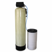 Purificateur d'eau domestique entièrement automatique, adoucisseurs cationiques, vanne de commande multi-directionnelle automatique, filtration d'eau pour toute la maison, 1 an