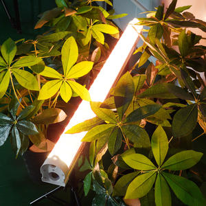 Meijiu Lighting Factory Custom Under Canopy LED Grow Bars 120W Aluminio Spectrum Color para Plant Bloom Leafy Greens - Product Image 3