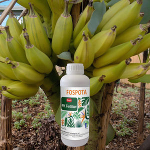 سماد موز عضوي سائل ، حمض الهيوميك ، محصول البوتاسيوم ، يزيد من إنتاجية تخزين الفاكهة ، مسحوق - Product Image 5