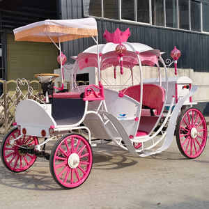 Magnifique et romantique carrosse de Cendrillon, transport spécial, cheval et carrosse pour Noël, charrette à cheval électrique - Product Image 1
