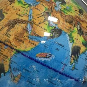 Động Vật Vườn Thú Được Chiếu Sáng Quả Cầu <span class=keywords><strong>20Cm</strong></span> - Product Image 1