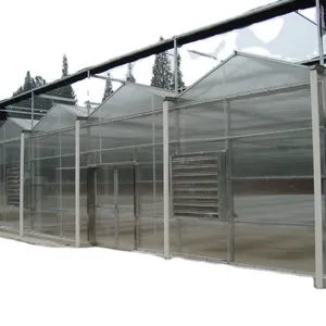 一个最优惠的价格美丽的Velon多跨玻璃温室种植植物花卉和蔬菜