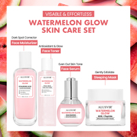 Label privé lavage naturel gratuit lueur pastèque niacinamide masque de sommeil soins de la peau éclaircissant masque facial hydratant