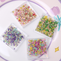 JIASI JS-XGH Mini Boîte d'autocollants pour nail art avec fleurs séchées naturelles 3D colorées mélangées