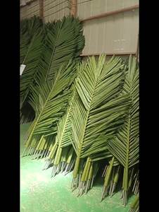 Usine Faux Coconut Géant Intérieur Extérieur Décoration Grand Faux Dattier <span class=keywords><strong>Palmier</strong></span> Branches Feuilles Pas Cher Feuilles <span class=keywords><strong>De</strong></span> <span class=keywords><strong>Palmier</strong></span> Artificielles - Product Image 3