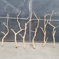 Petites branches d'arbre décoratives suspendues pour la décoration d'angle de la maison