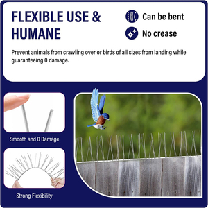 Piques <span class=keywords><strong>anti</strong></span>-oiseaux en acier inoxydable avec base en plastique écologique personnalisée, dissuasives contre les <span class=keywords><strong>pigeons</strong></span> - Product Image 3