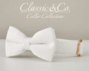 Collar y Correa para Cachorro con Lazo de Terciopelo Personalizado, Diseño Sólido y Hebilla Metálica con Nombre Grabado - Product Image 4