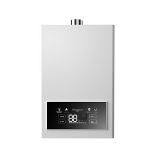 <span class=keywords><strong>Scaldabagno</strong></span> a gas a pressione servoassistito 16 litri 12 litri a frequenza variabile con temperatura costante e zero scarico acqua fredda - Product Image 1