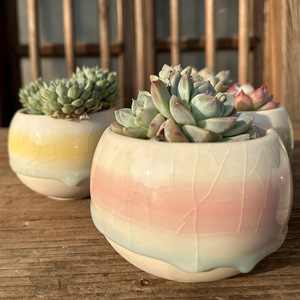 OEM/ODM Venta al por mayor Popular Maceta de cerámica para plantas suculentas con efecto craquelado, transpirable, pequeña, de porcelana artesanal, tipo jardín - Product Image 3