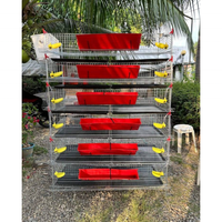 Enclos robuste en grillage métallique pour cailles avec bac à fumier coulissant et mangeoire amovible pour usage agricole