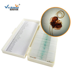 Biological sections, siphon-type mouthpart specimens, <b>microscope</b> slides, bee mouthpart mounts - Product Image 2