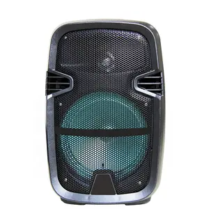 Factory stock speaker 8 inch woofer active portable outdoor party RGB karaoke partybox with mic