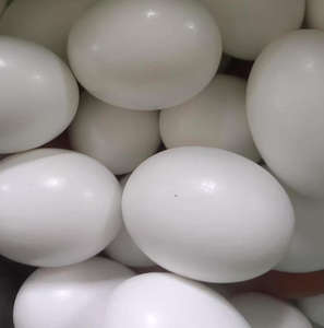 Œufs de Pâques et de canard simulés <span class=keywords><strong>pour</strong></span> enfants, décorations et farces pratiques peintes par les enfants - Product Image 4