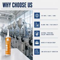 FEIDUHOME GP-A 300ml Mastic silicone étanche résistant aux UV pour cadres de fenêtres/portes et joints de verre - Anti-fongique et antibactérien