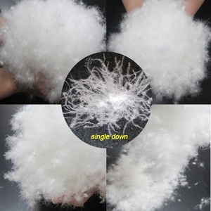 Duvet de canard blanc pur 90 % lavé à haute capacité de rembourrage, 10 plumes, norme EN Classe 1 - Product Image 2