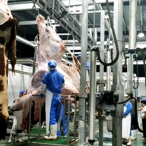 Moteur complet d'outils en acier clé en main conformes <span class=keywords><strong>halal</strong></span>-Solutions d'abattoir central pour l'abattage <span class=keywords><strong>de</strong></span> la <span class=keywords><strong>viande</strong></span> <span class=keywords><strong>de</strong></span> bovins et <span class=keywords><strong>de</strong></span> moutons - Product Image 3