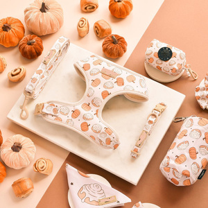 Kişiselleştirilmiş Köpek Tasması Seti Ayarlanabilir Çekişsiz Köpek Tasması Seti Tasarımcı Evcil Hayvan Köpek Tasması, Kayışı ve Tasması - Product Image 2