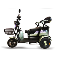 Tricycle électrique à 3 roues pour personnes âgées, Scooter