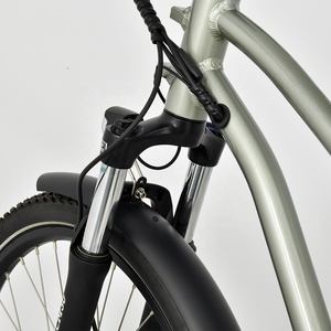 Nouveau vélo électrique tendance avec dérailleur <span class=keywords><strong>Nexus</strong></span> <span class=keywords><strong>7</strong></span> vitesses, cadre en aluminium, moteur 500W, batterie lithium intégrée 15Ah, vélo électrique de transport - Product Image 3