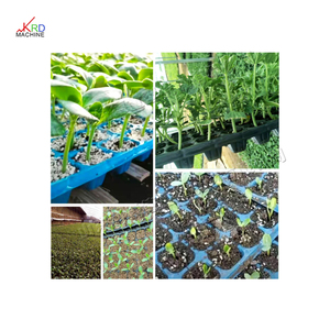 Plateau de semis semoir plateau de graines Machine semi-automatique planteur plateau de légumes pépinière semoir semoir machine de plantation de graines - Product Image 6