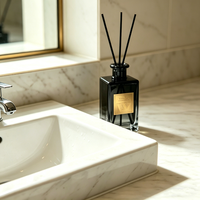 Diffuseur de parfum d'ambiance WELLNESS pour la maison, personnalisable avec logo, nouveau design, bouteille en verre, bâtonnets diffuseurs d'arômes pour la pièce, cadeau