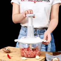 Grande presse manuelle domestique pour pâte d'ail, hachoir à viande et volaille, vente en gros d'usine, en plastique