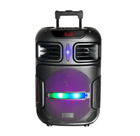 Meilleure vente 15 pouces Trolley Party Speaker avec micro puissant 40W Trolley Speaker pour haut-parleur karaoké actif sans fil de haute qualité