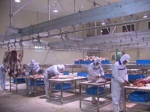 Linea Completa di Attrezzature Moderne ZBHT per Macellazione, Tavolo di Lavorazione e Taglio per Bovini, Ovini e Suini <span class=keywords><strong>in</strong></span> Mattatoio - Product Image 5