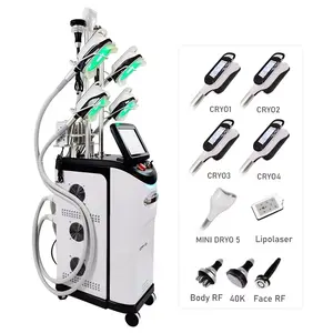 Four-handles Cryolipolysis Fat Loss Machine - ADSS Laser