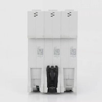 Disjoncteur miniature ABB S202, interrupteur à air 2P, types C/D, 1A, 2A, 3A, 4A, 6A, 10A, 16A, 20A, 25A, 32A, 40A, 50A, 63A, 80A, 100A