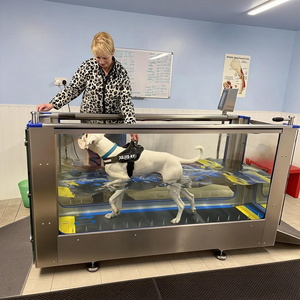 Máquina de Entrenamiento para Perros de Clínica Veterinaria, Terapia Subacuática para Mascotas, Caminadora Eléctrica de Hidroterapia, Caminadora Acuática - Product Image 1