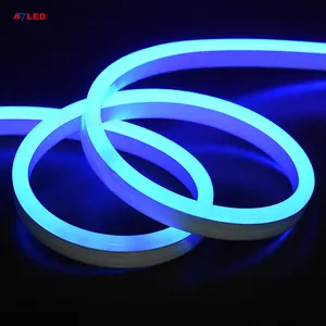 AC 110V 220V IP65 Waterproof 5050 RGB 0816 Neon Flexible Dimmable RGB Led Strip Customize Neon Light Sign