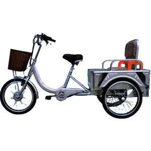 יעילות גבוהה 250W מבוגר זוג פנאי רכב קדמי סל נוח מושב אחורי למעלה באיכות חשמלי תלת אופן חשמלי אופניים
