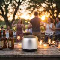 Mini enceintes avec volume élevé, mini canons en acier, équipement audio sans fil portable pour l'extérieur