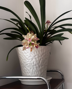 Pot de fleurs en <span class=keywords><strong>plastique</strong></span> finition nacrée et texture martelée, élégant et épaissi, pour intérieur, salon, balcon, bureau - Product Image 5