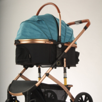 Poussette pliable pour animaux de compagnie en aluminium, détachable, avec 4 roues