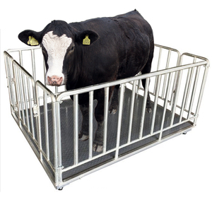 1.5*0.75*0.8 मीटर 500 किलो 1t 2t 3 टन गाय भेड़ का वजन करने के लिए इलेक्ट्रॉनिक स्केल - Product Image 6