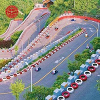 Carros de Luge Económicos para Niños y Adultos, Scooter de Gravedad para Juegos, Equipo de Diversión al Aire Libre, Montaña Rusa de Montaña en Venta