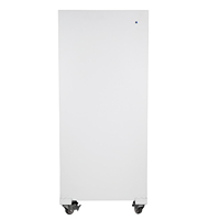 Generator Ionizers Eliminating Plasma Of In Technology Eliminators Grow Room Odor Control Ionizer