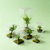 Vente directe d'usine Boîte de rangement pliable Boîte en plastique transparente jetable en PVC PET Boîte carrée pour l'emballage