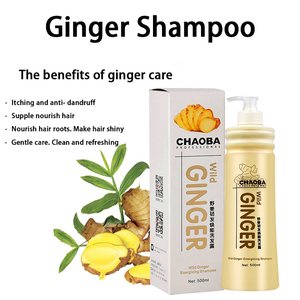 Shampoo au gingembre pour cheveux grisonnants, shampooing pour le soin du cuir chevelu sec et irrité, extrait d'huile de gingembre, formule fortifiante pour les cheveux, pour hommes et femmes - Product Image 6